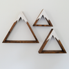 The Mountain Shelf